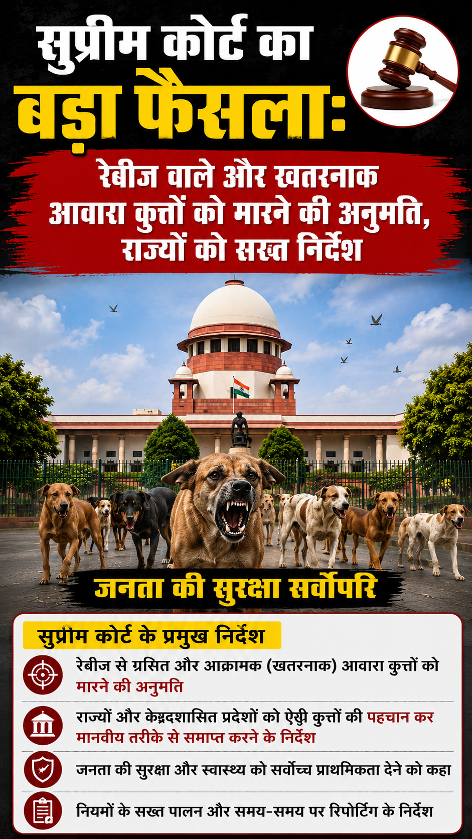 सुप्रीम कोर्ट के फैसले के बाद सड़क पर बैठे आवारा कुत्ते की प्रतीकात्मक तस्वीर
