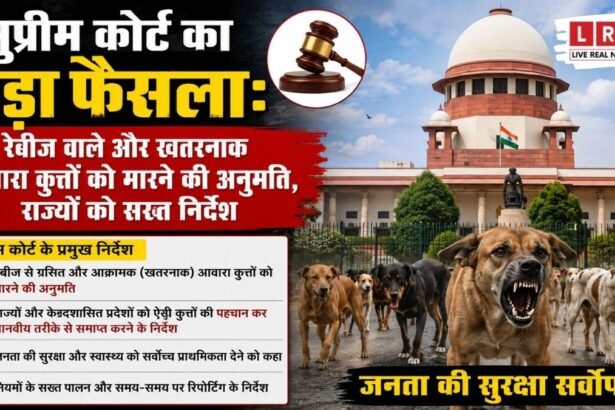 Supreme Court Allows Action Against Rabid And Dangerous Stray Dogs
