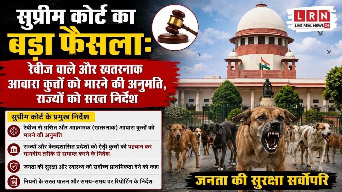 Supreme Court Allows Action Against Rabid And Dangerous Stray Dogs