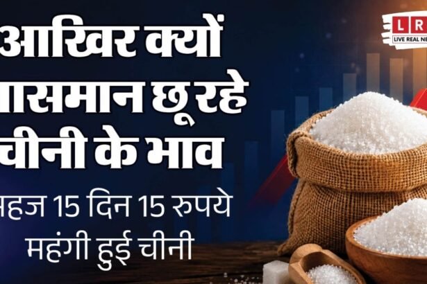 त्योहारों से पहले चीनी ने बिगाड़ा मिठास का बजट, ₹65 किलो पहुंचा भाव; आखिर क्यों बढ़े दाम? सरकार के इस फैसले का भी असर